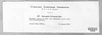 Image Associated With the Occurence